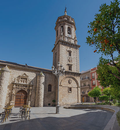 imagen de Sede de Jaén