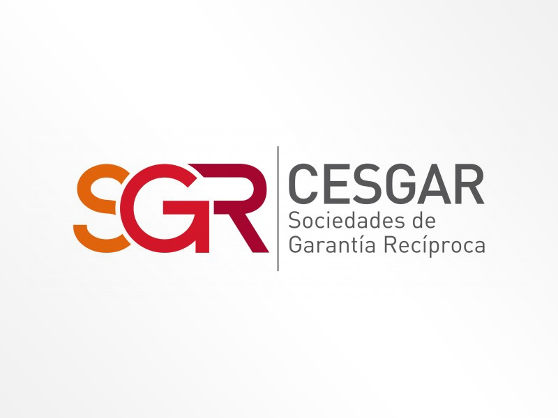 V Informe sobre Financiación de la Pyme en España de CESGAR